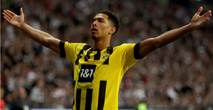 种特质发挥 种特质发挥